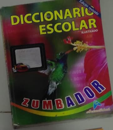 Foto real de Diccionario Escolar Zumbador